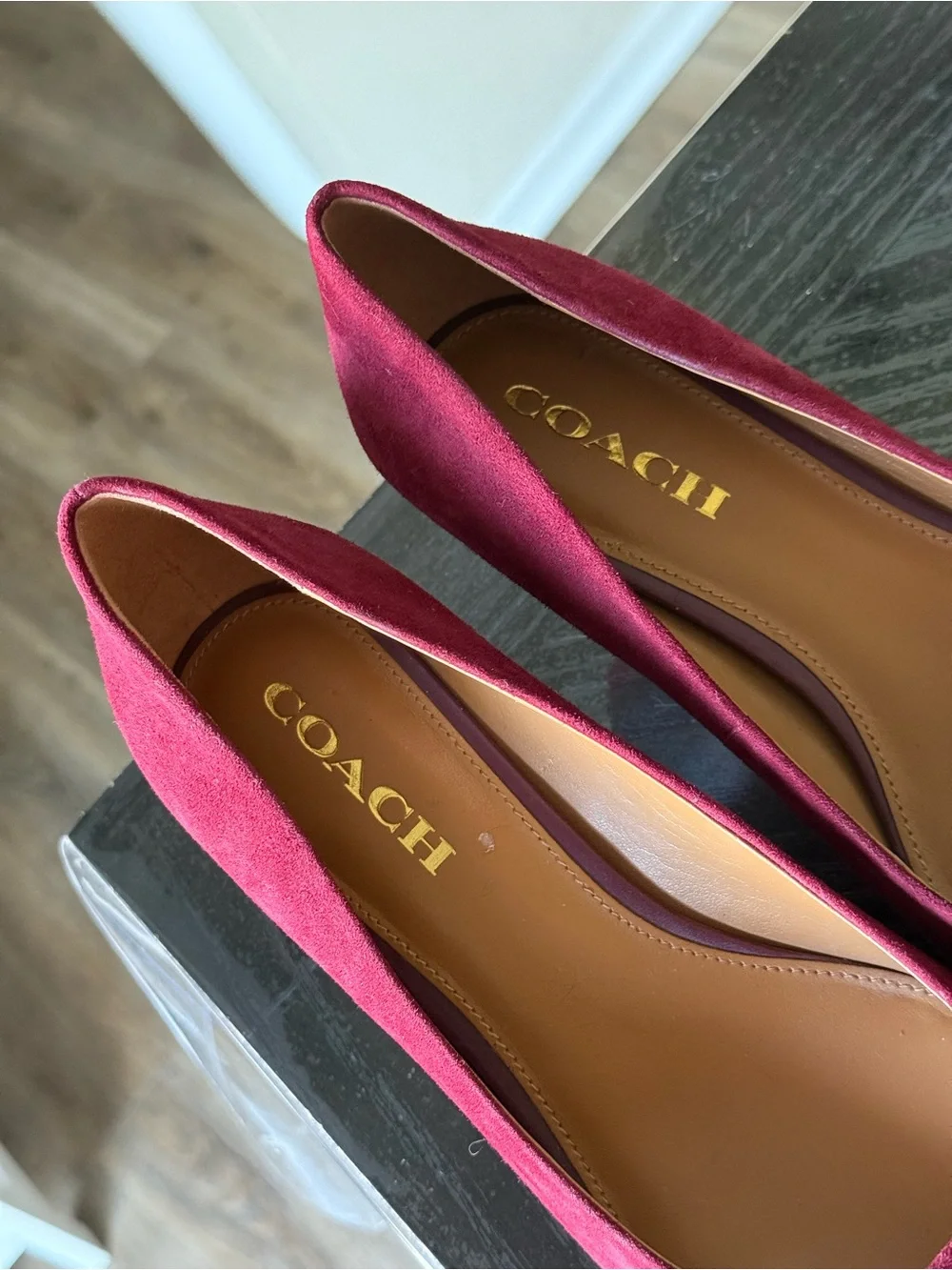 Coach Burgundy Pointed Toe Pumps with Gold Accent